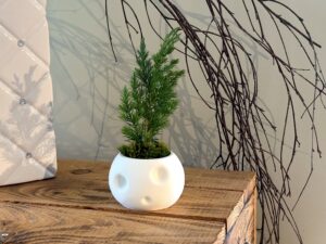 Kodama Kerra Planter