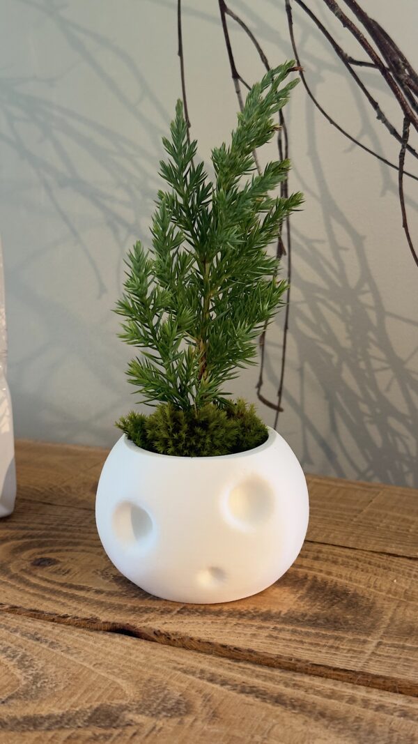 Kodama Kerra Planter