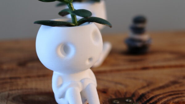 Sitting Kodama Planters Bundle