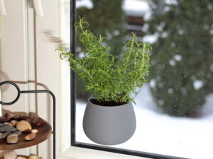 Window Planter is installed to the window where the decorative grass is growing inside while snowing outside