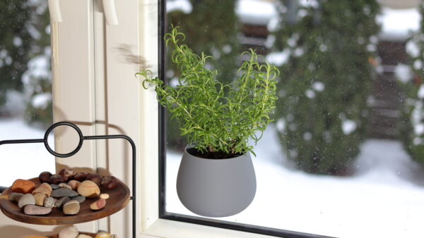 Window Planter is installed to the window where the decorative grass is growing inside while snowing outside